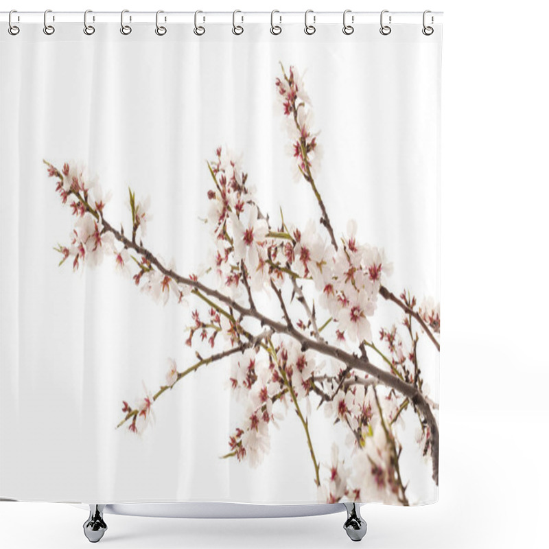 Personality  Horticulture Of Gran Canaria - Almond Blossoms Shower Curtains