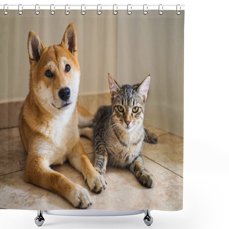 Personality  Shiba Inu Puppy And His Friend Striped Kitten Shower Curtains