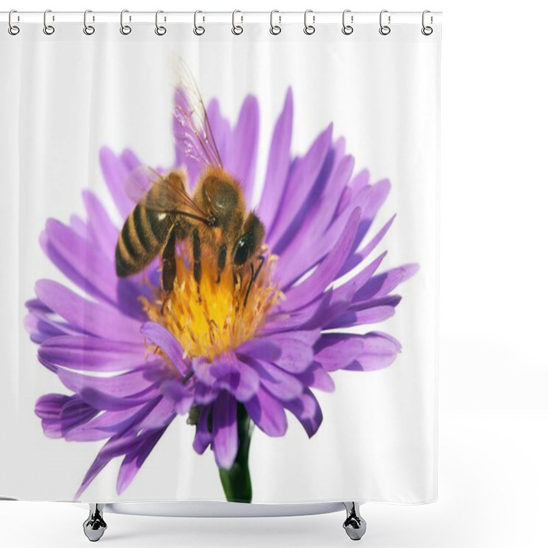 Personality  Honey Bee On Violet Flower Isolated On White Background Shower Curtains