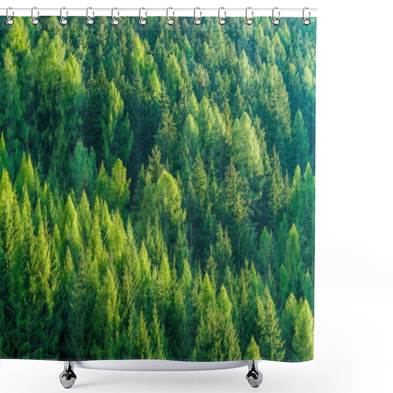 Personality  Green Forest Of Fir And Pine Trees Landscape Background In The Wilderness Nature Area. Concept Of Sustainable Natural Resources, Healthy Environment And Ecology. Shower Curtains