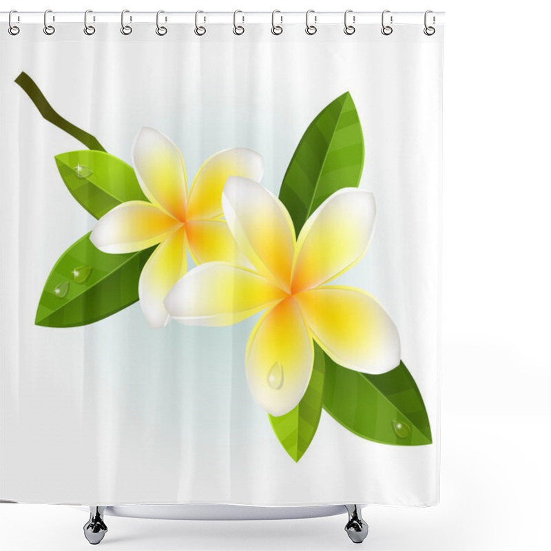 Personality  Frangiapani Flowers Shower Curtains