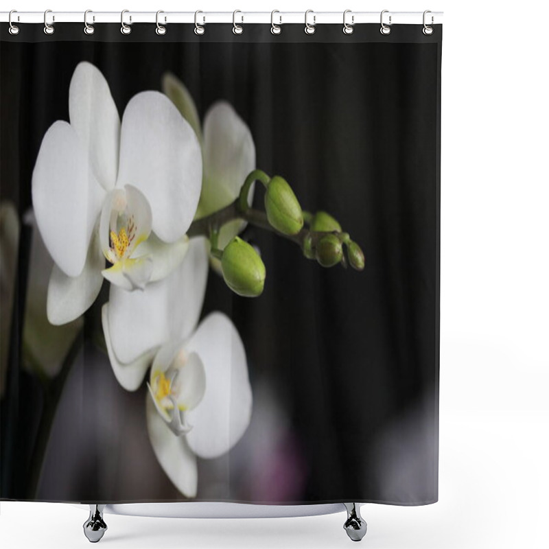 Personality  Orchid Flowers In The Garden Shower Curtains