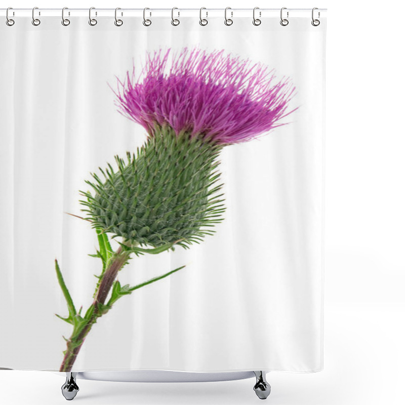 Personality  Thistle Shower Curtains