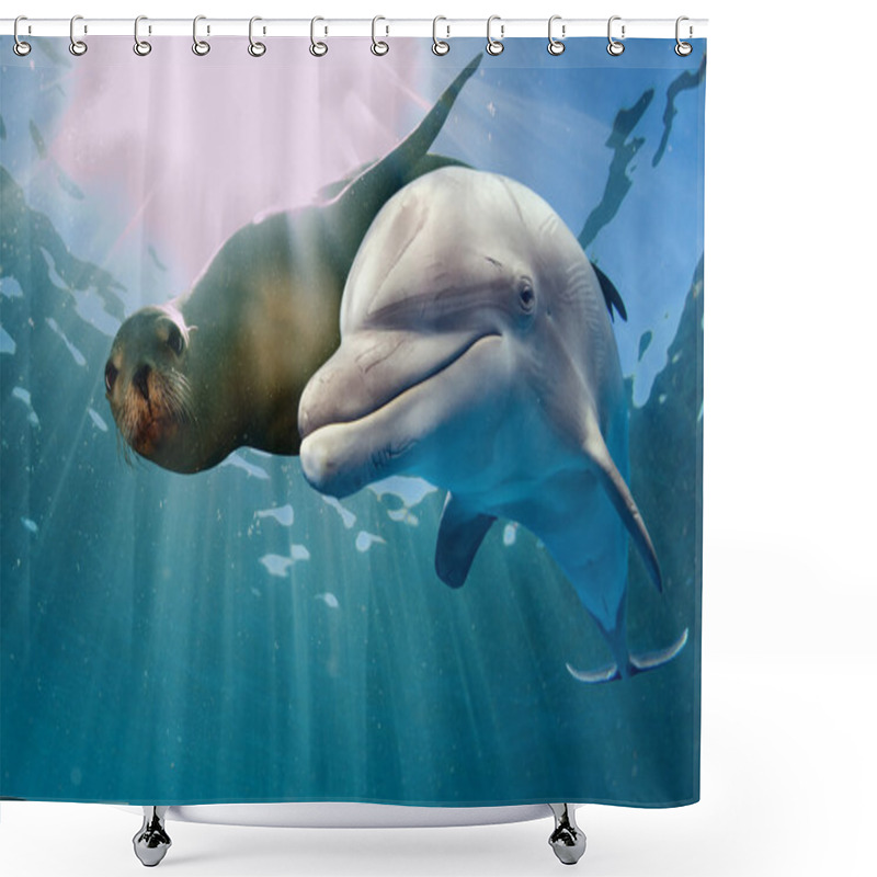 Personality  Dolphin And Sea Lion Underwater  Shower Curtains