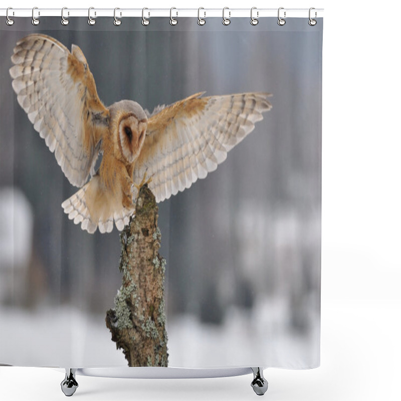 Personality  Barn Owl Landing To Spike Shower Curtains