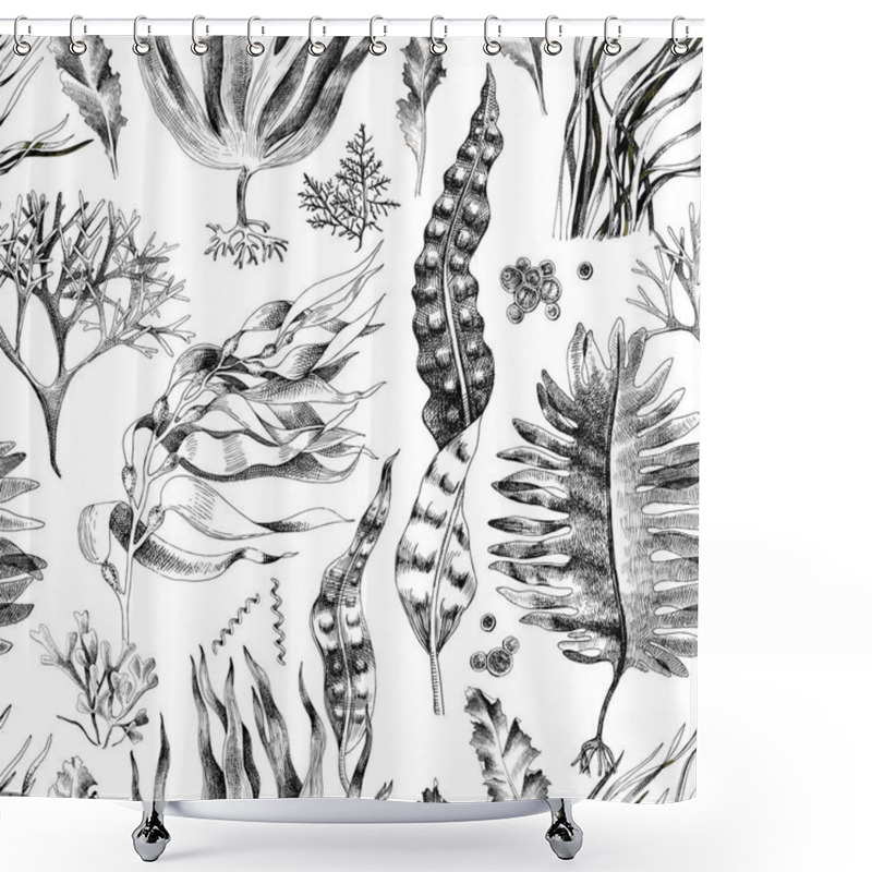 Personality  Seamless Pattern With Hand Drawn Edible Algae Shower Curtains