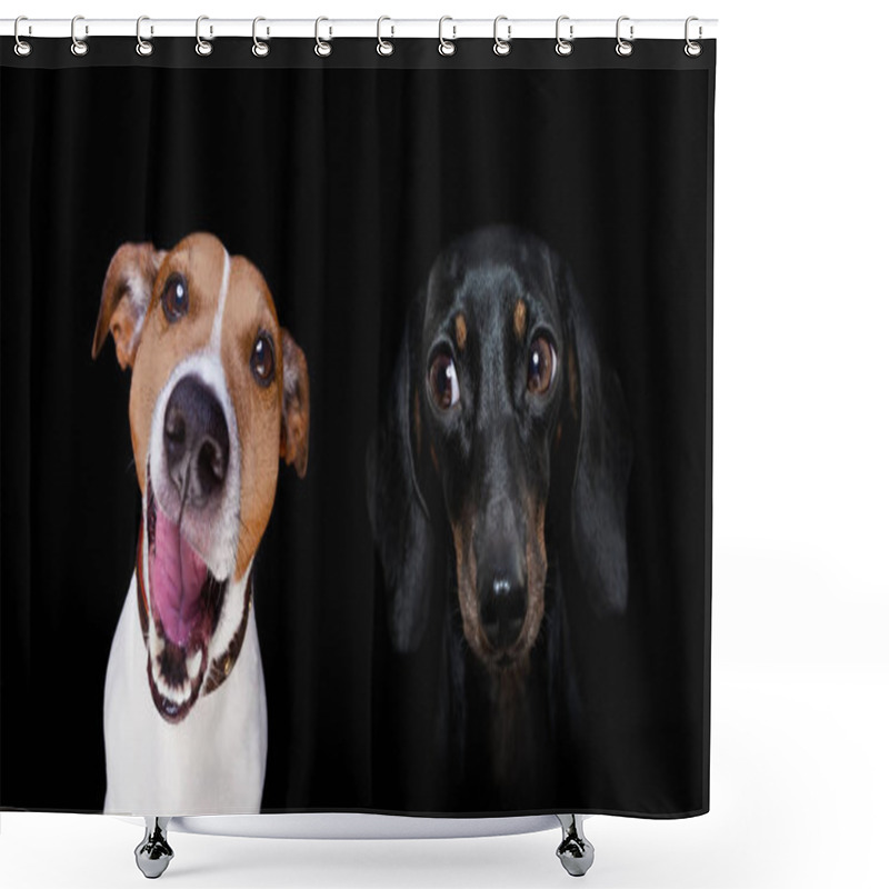 Personality  Couple  Of Dogs In Love , Looking Each Other In The Eyes, With Passion , Pink Red Rose In The Middle, Isolated On White Background Shower Curtains