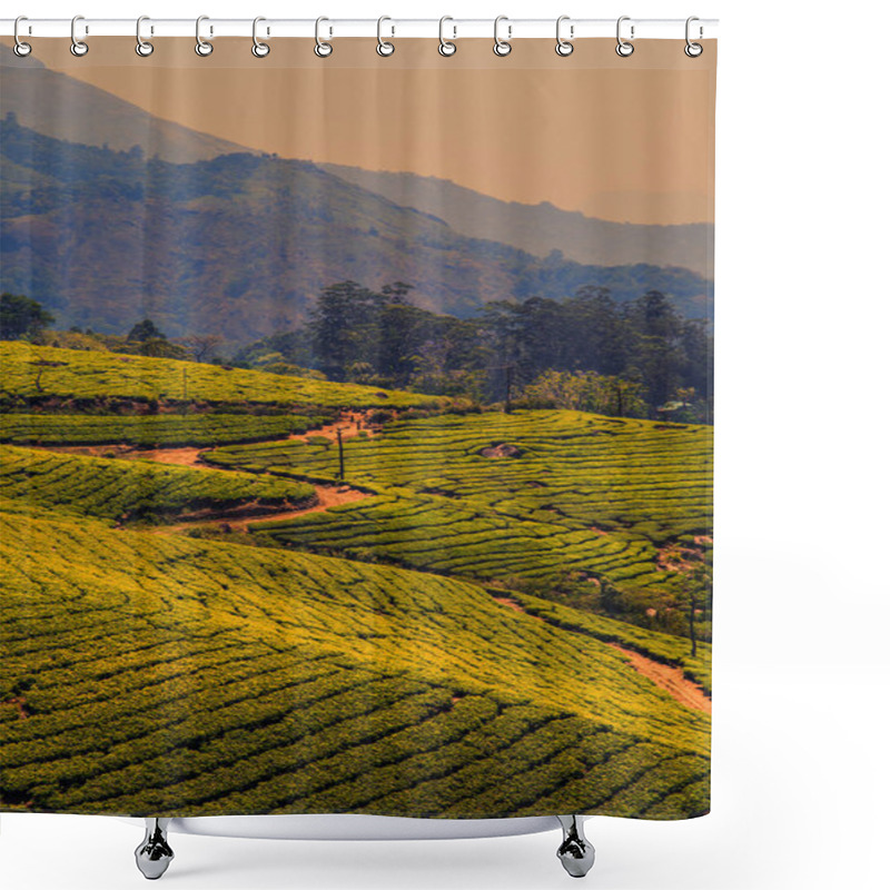 Personality  Tea Plantations In Munnar, Kerala, India. Shower Curtains