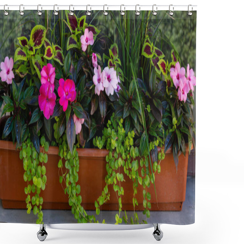 Personality  Annual Plants In Floral Decorative Compositions. Landscaping Of Balconies And Verandas Shower Curtains