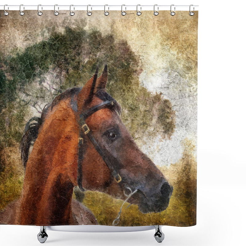 Personality  Arabian Horse Portrait. Shower Curtains