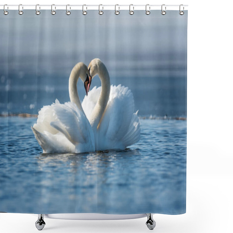 Personality  Romantic Two Swans, Symbol Of Love Shower Curtains