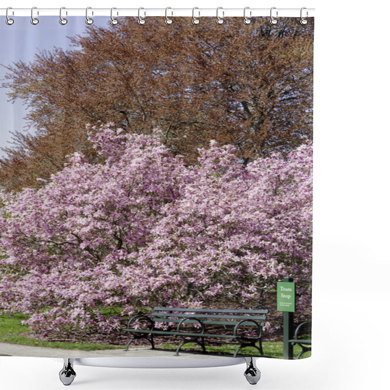 Personality  Tram Stop At Magnolia Tree Shower Curtains