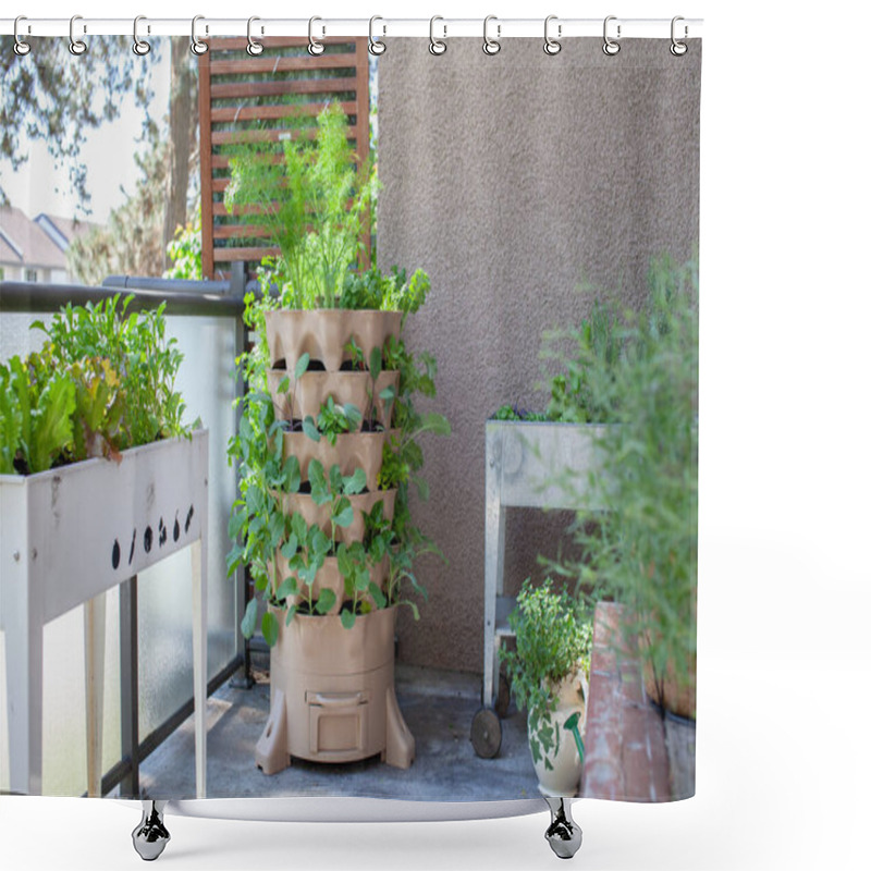 Personality  A Tall Vertical Garden Sits On An Apartment Balcony (patio) With Fresh Salad Greens, Herbs And Vegetables. Ideal Small Space And Urban Gardening Solution Shower Curtains