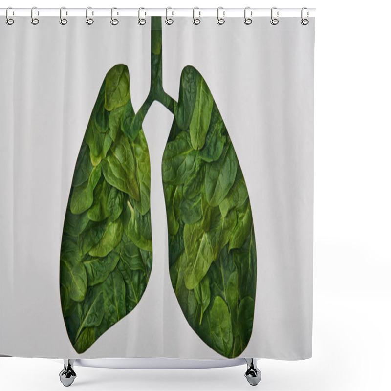 Personality  Top View Of Lungs Model With Green Leaves Isolated On White Shower Curtains