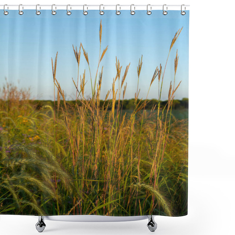 Personality  Summer Tallgrass Shower Curtains