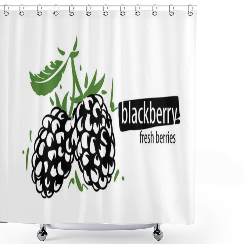 Personality  Drawn Vector Blackberry On A White Background Shower Curtains