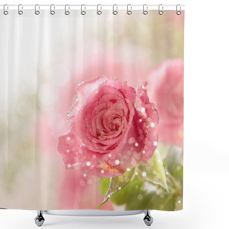 Personality  Beautiful Pink Rose With Water Drops Shower Curtains