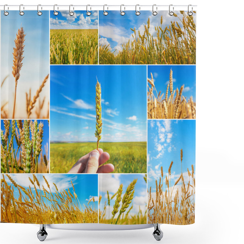 Personality  Collage Of Pictures With Wheat Ears Shower Curtains