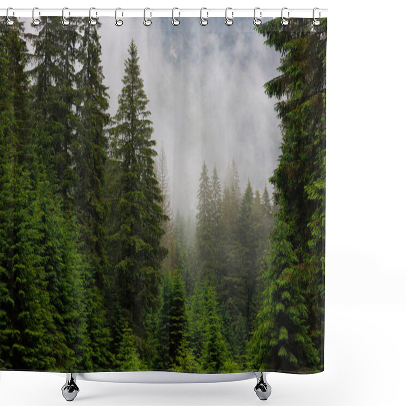 Personality  Dramatic Scenic Fog In Pine Forest On Mountain Slopes. Amazing Scenery With Foggy Dark Mountain Forest Pine Trees At Autumn. Footage Of Spruce Forest Trees On The Mountain Hills At Misty Day Shower Curtains