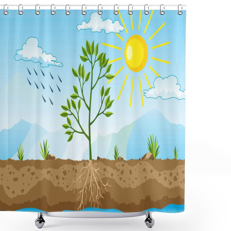 Personality  Photosynthesis As A Process Of Tree Produce Oxygen Using Rain And Sun. Process Of Photosynthesis In Plant. Colorful Biology Illustration For Education In Flat Style Shower Curtains