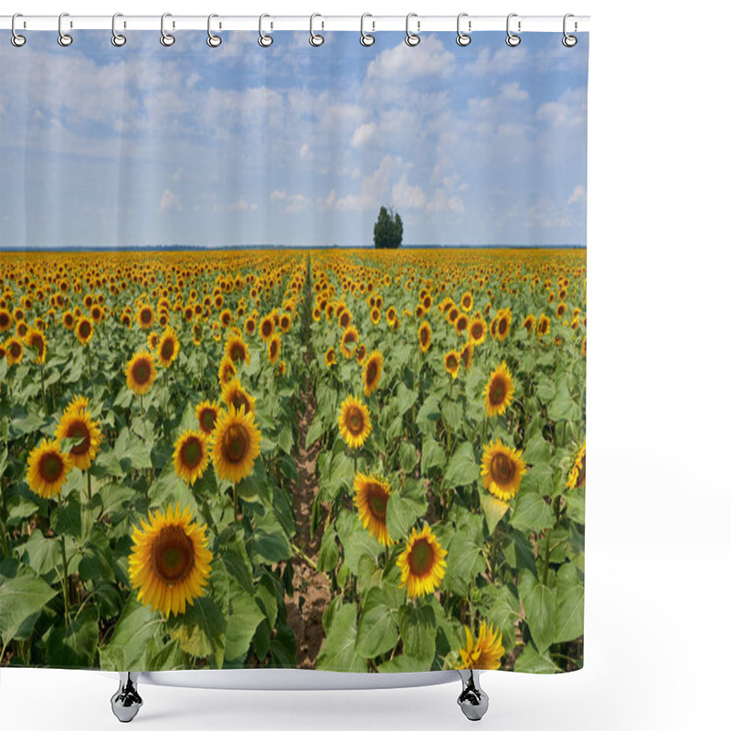 Personality  Vibrant Image Of A Sunflower Field At Sunset With A Tree In It Shower Curtains