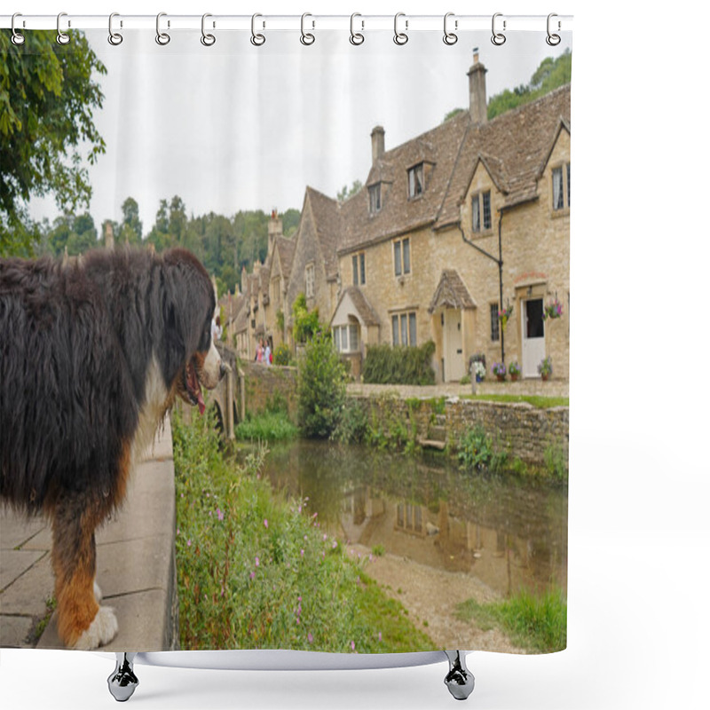 Personality  Bernese Mountain Dog Looking At The River, Old Stone Houses In The Background. Castle Combe, Cotswolds, England Shower Curtains