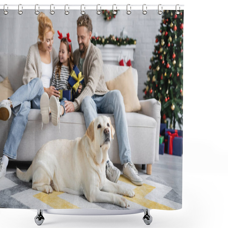 Personality  Labrador Lying On Floor Near Smiling Family With Christmas Gift At Home  Shower Curtains