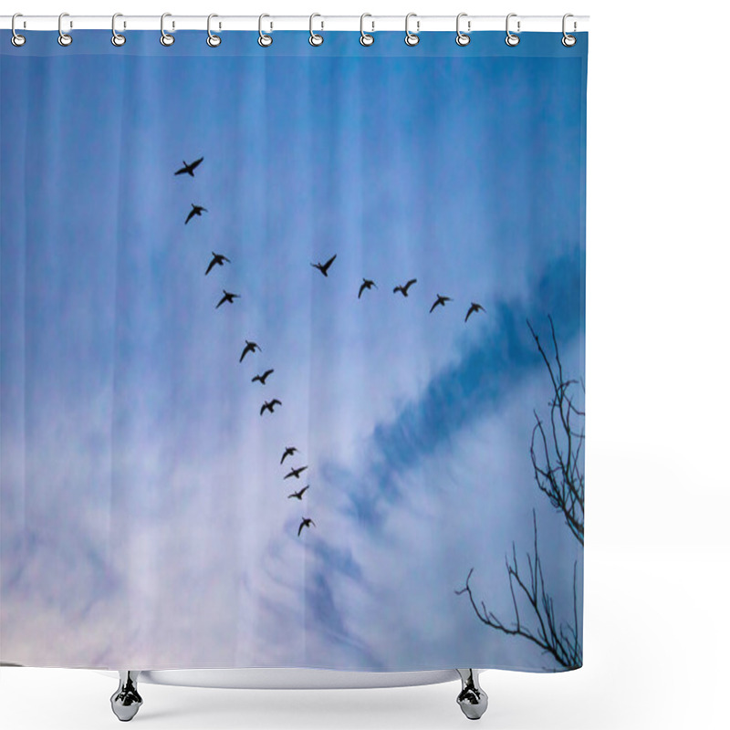 Personality  Migrating Canada Geese Cross The Sky In A 'V' Shower Curtains