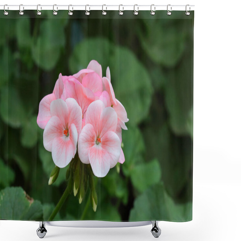 Personality  Geranium Shower Curtains