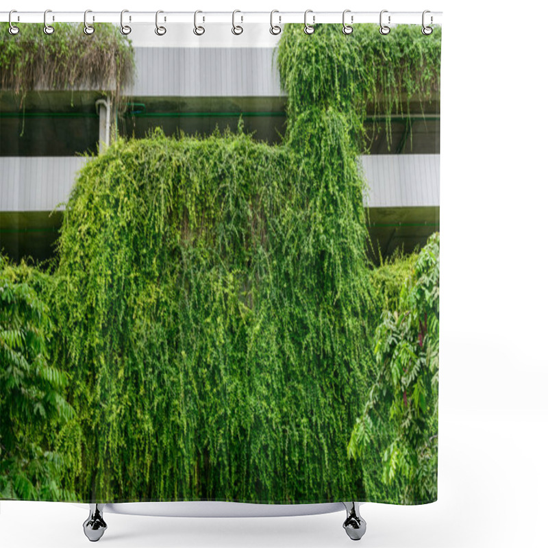 Personality  A Lush Green Plant Is Growing On The Side Of A Building, Creating A Beautiful And Natural Appearance. The Plant Is Thriving In The Urban Environment, Adding A Touch Of Greenery To The Concrete Shower Curtains