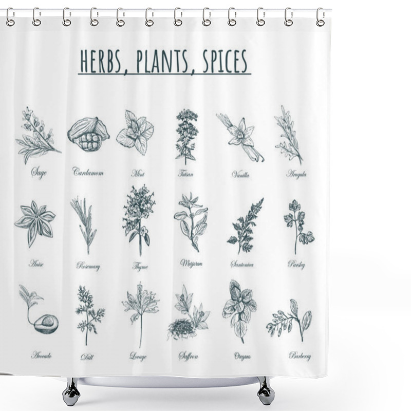 Personality  Herbs, Plants And Spices Vector Illustration.  Shower Curtains