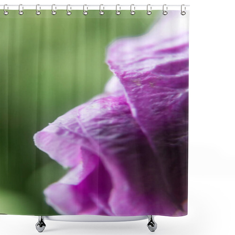 Personality  Explore The Intricate Beauty Of A Vivid Purple Hibiscus Bud In A Stunning Close-up Photo, Showcasing The Delicate Details Of Nature's Floral Perfection Shower Curtains