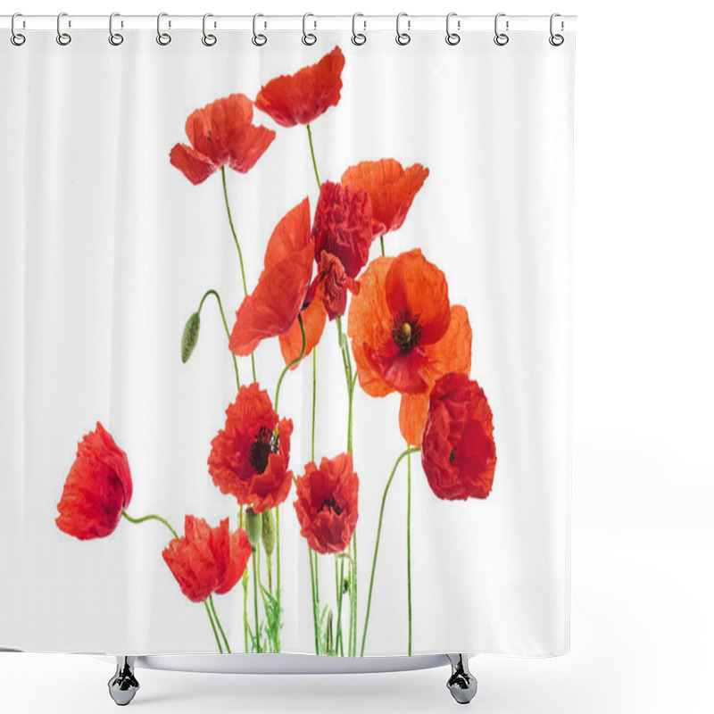 Personality  A Collection Of Bright Red Poppies With Delicate Petals Against A Pure White Backdrop. Shower Curtains