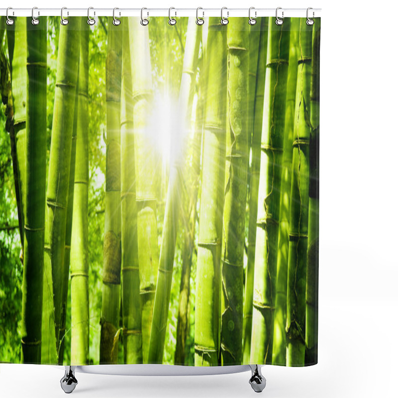 Personality  Bamboo Forest Shower Curtains