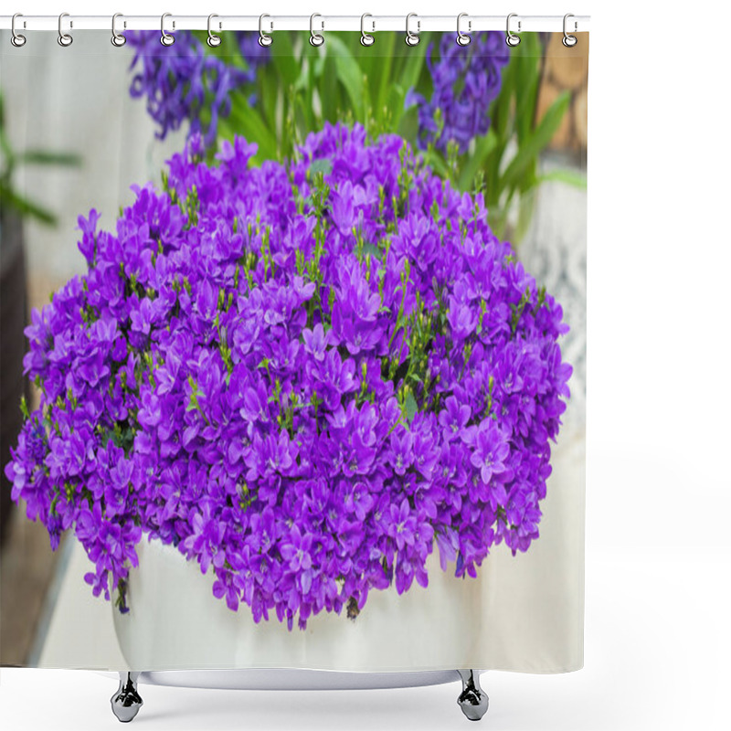 Personality  Campanula Flowers As A Background Shower Curtains