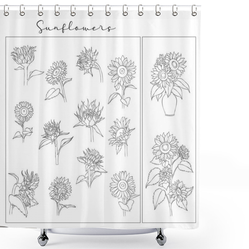 Personality  Vector Sunflower Illustrations Line Art Set. Floral Outline Sketch, Engraved Illustration. Design Elements. Editable Outline Color. Shower Curtains