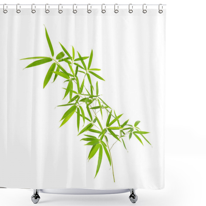 Personality  Green Bamboo Leaves Isolated On White Background Shower Curtains