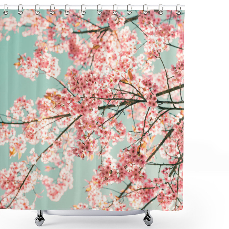 Personality  Sakura Pink Flowers In Spring Shower Curtains