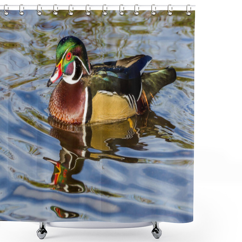 Personality  Male Wood Duck On The Water Burnaby Canada Shower Curtains