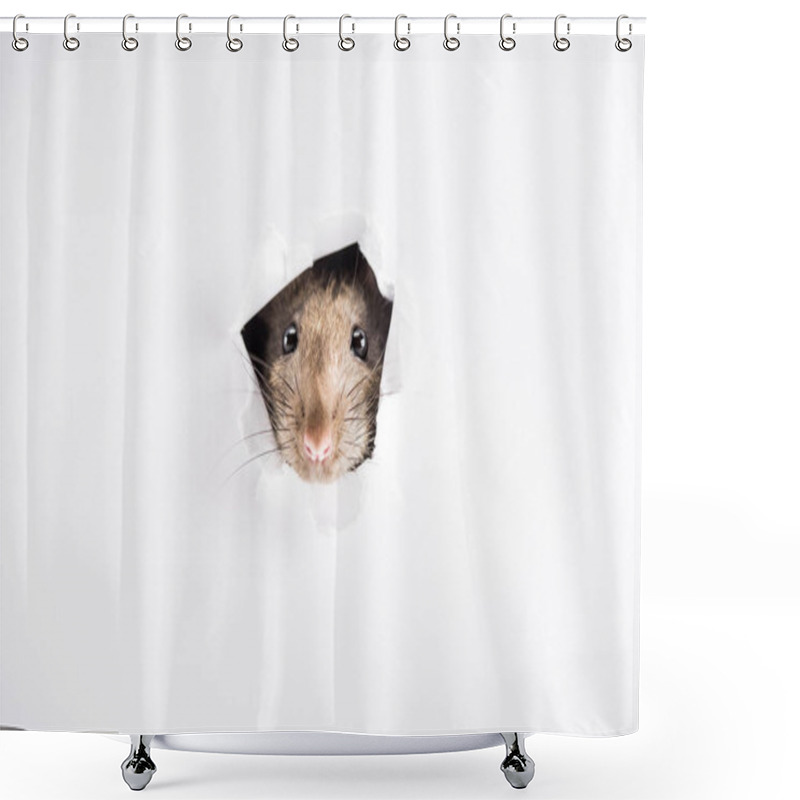 Personality  Cute And Brown Rat Looking Through Hole In New Year  Shower Curtains