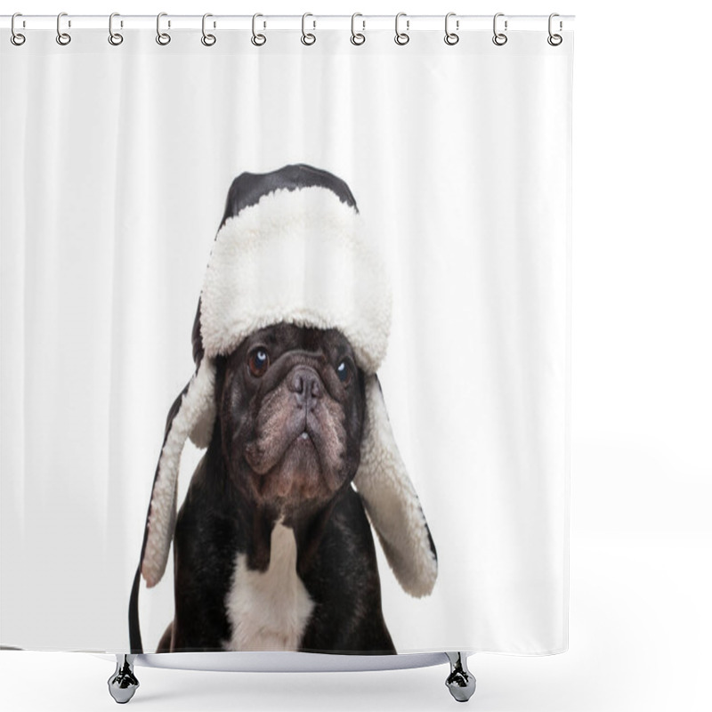 Personality  Image Of Dog Hat White Background  Shower Curtains