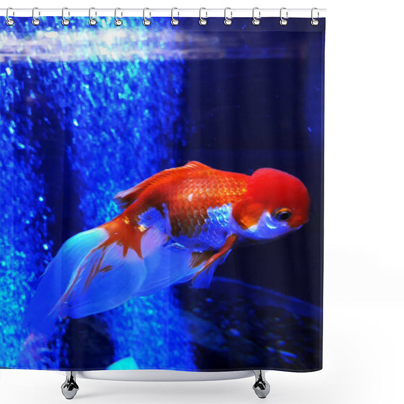 Personality  Big Head Orange Goldfish Shower Curtains