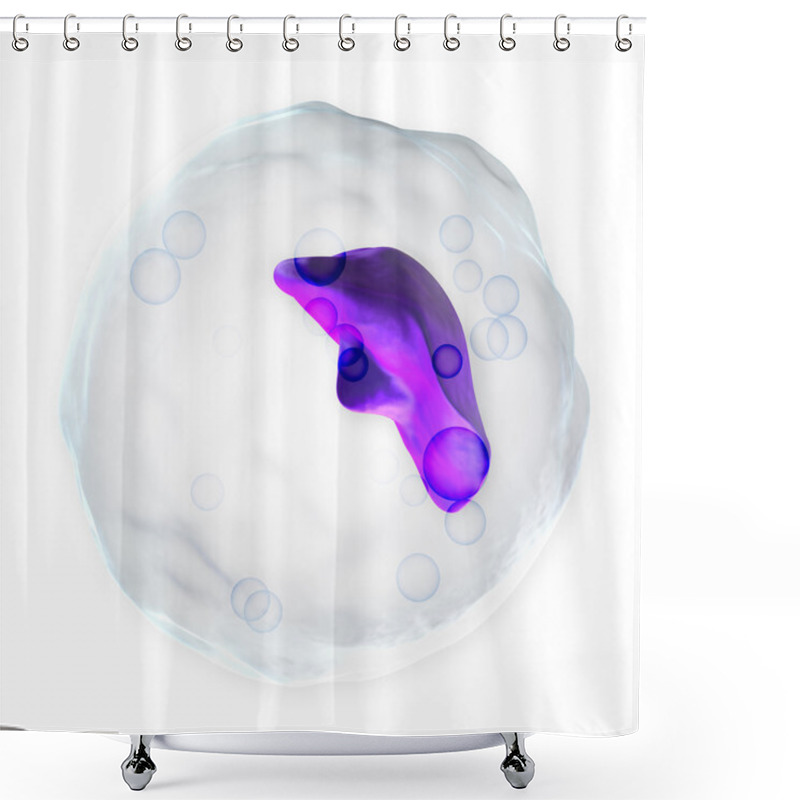 Personality  White Blood Cell - Basophil Shower Curtains