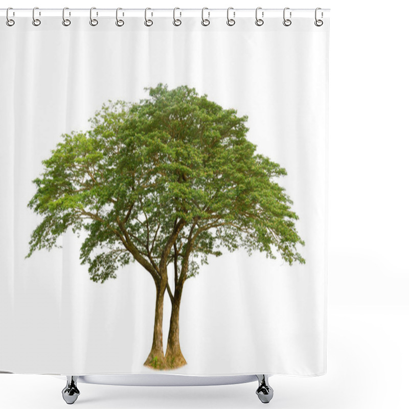 Personality  Samanea Saman, Isolated Tree On White Background, Rain Isolated Tree On White Background, Monkey Pod, East Indian Walnut Tree Isolated On White Background. Shower Curtains