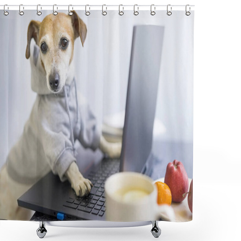 Personality  Dog Using Laptop Work Remotely. Smart Concentrated Dog Is Working On Project Online. Using Computer. Pet Wearing And Hoodie. Freelancer Work From Home Concept. Looking To The Camera. Cup Of Tea Shower Curtains