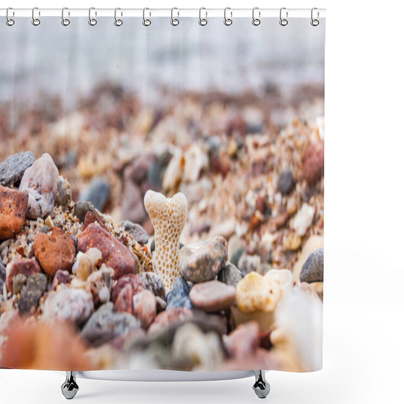 Personality  Small Coral Surrounded By Many Small Pebbles On The Red Sea Beach In Eilat, Israel Shower Curtains