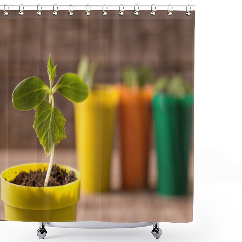 Personality  Young Plants  In Pots On Wooden Background Shower Curtains