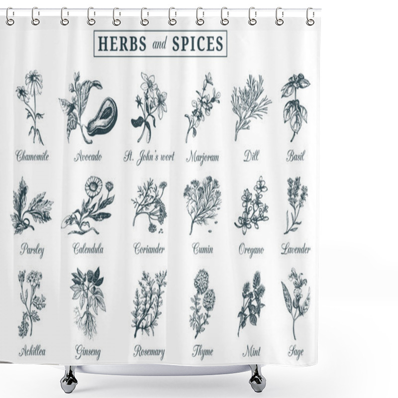 Personality  Herbs And Spices Set Shower Curtains