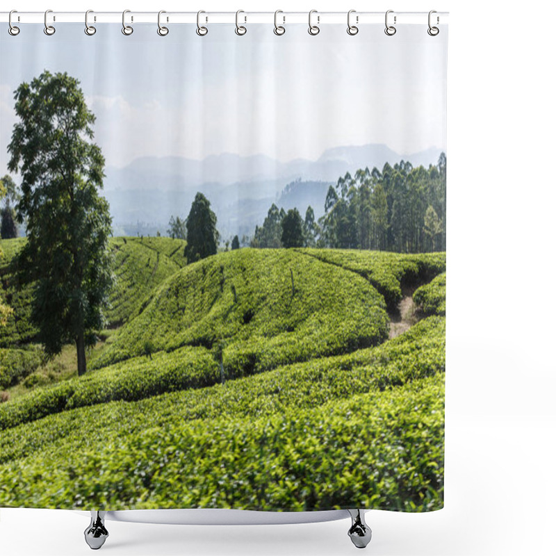 Personality  Field Shower Curtains