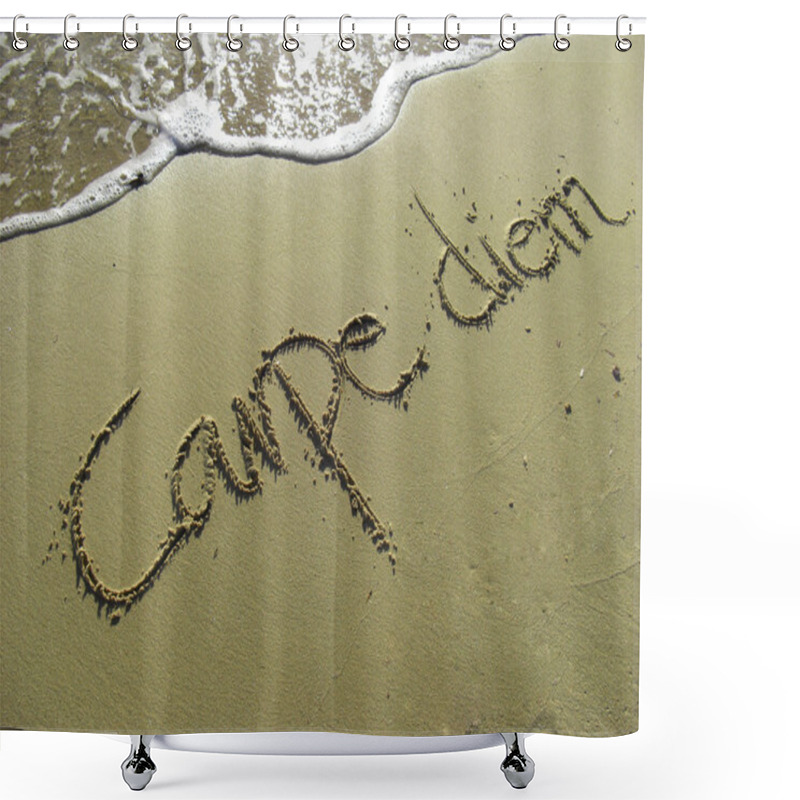 Personality  Carpe Diem Shower Curtains